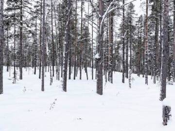Фото номера Дом для отпуска Дома для отпуска Holiday Home Kevätpiippo a г. Юллясярви 36