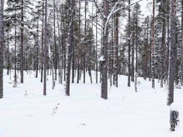 Фото номера Дом для отпуска Дома для отпуска Holiday Home Kevätpiippo a г. Юллясярви 10