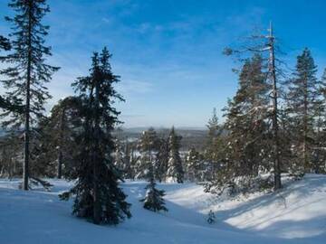 Фото номера Дом для отпуска Дома для отпуска Holiday Home Ylläsmaisema 1 г. Юллясярви 37